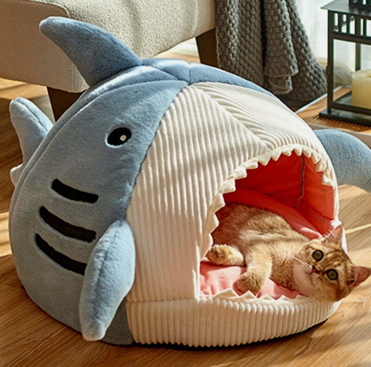 Casetta Morbida per Animali – Shark Design